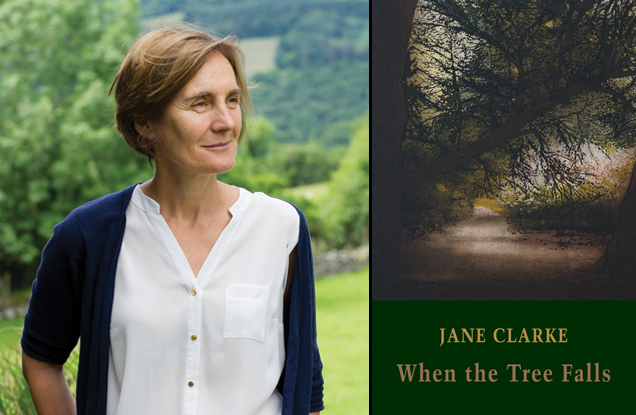 Jane Clarke interviews, books of the year & poem features for When the Tree Falls