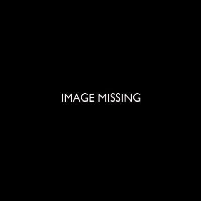 image-to-follow
