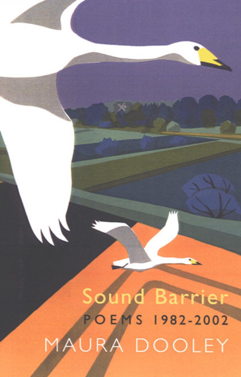 maura-dooley-sound-barrier