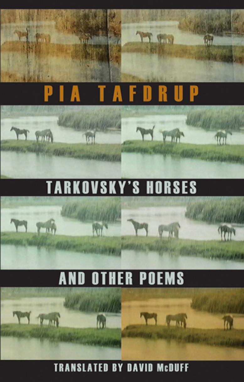 pia-tafdrup-tarkovskys-horses