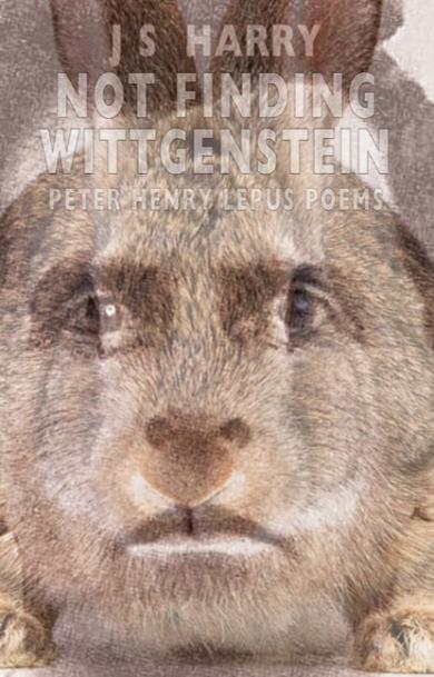 j-s-harry-not-finding-wittgenstein-peter-henry.jpg