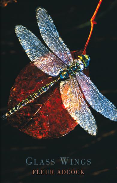 fleur-adcock-glass-wings