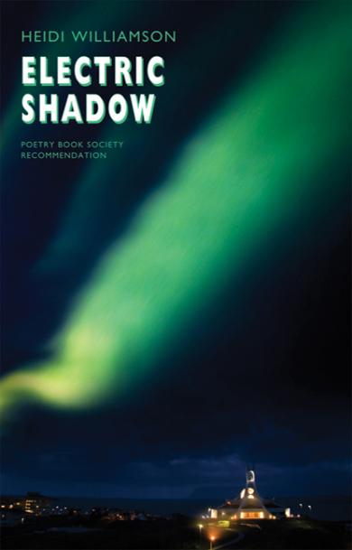 heidi-williamson-electric-shadow