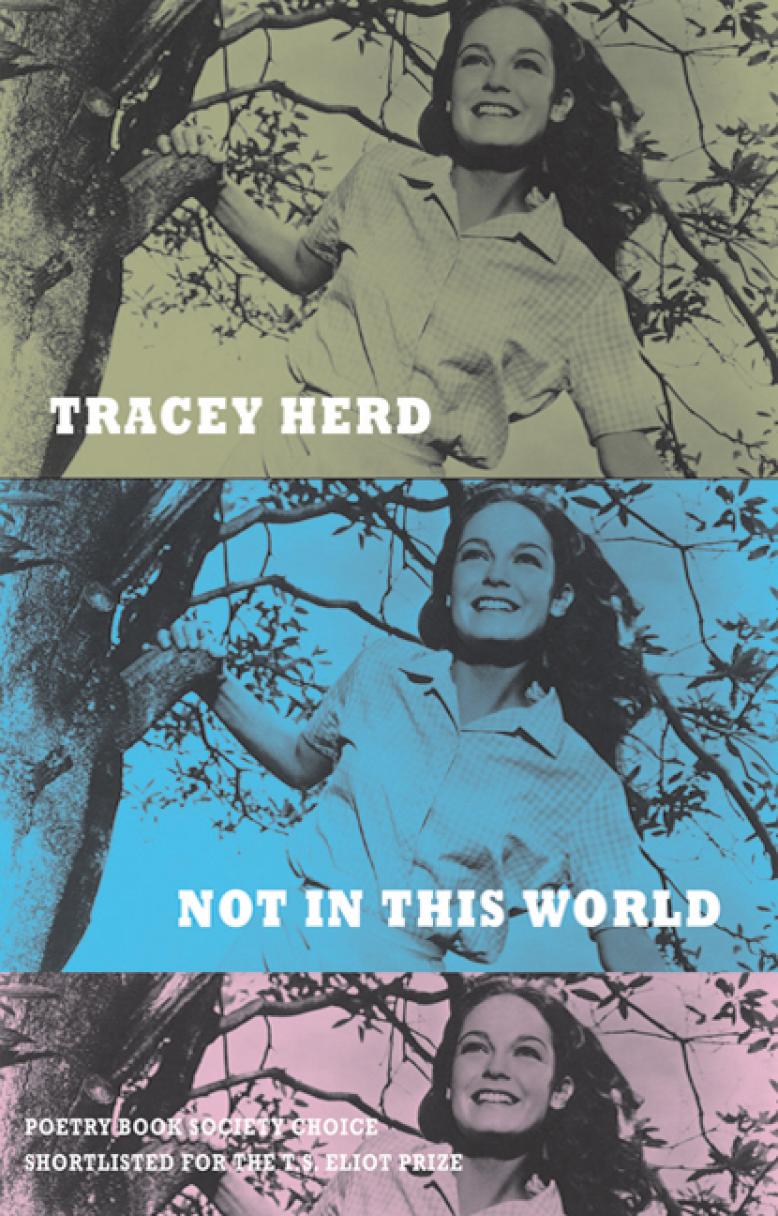 tracey-herd-not-in-this-world