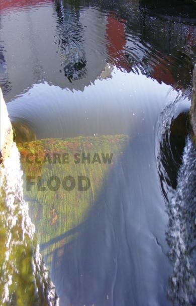 clare-shaw-flood