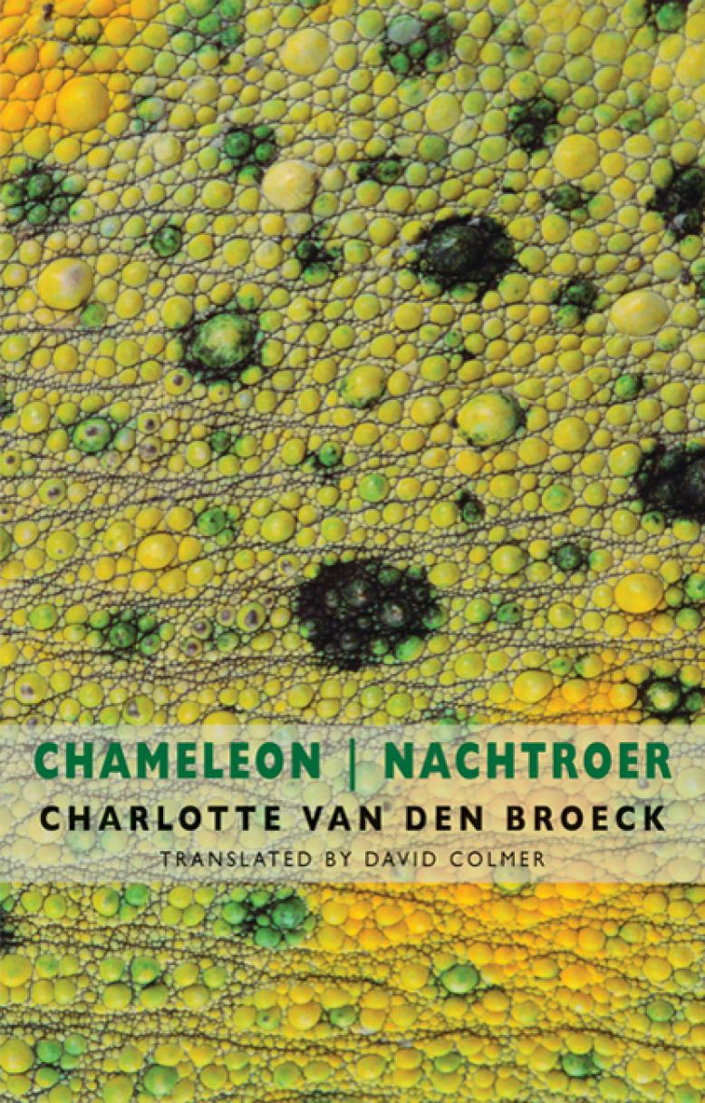 charlotte-van-den-broeck-chameleon-nachtroer