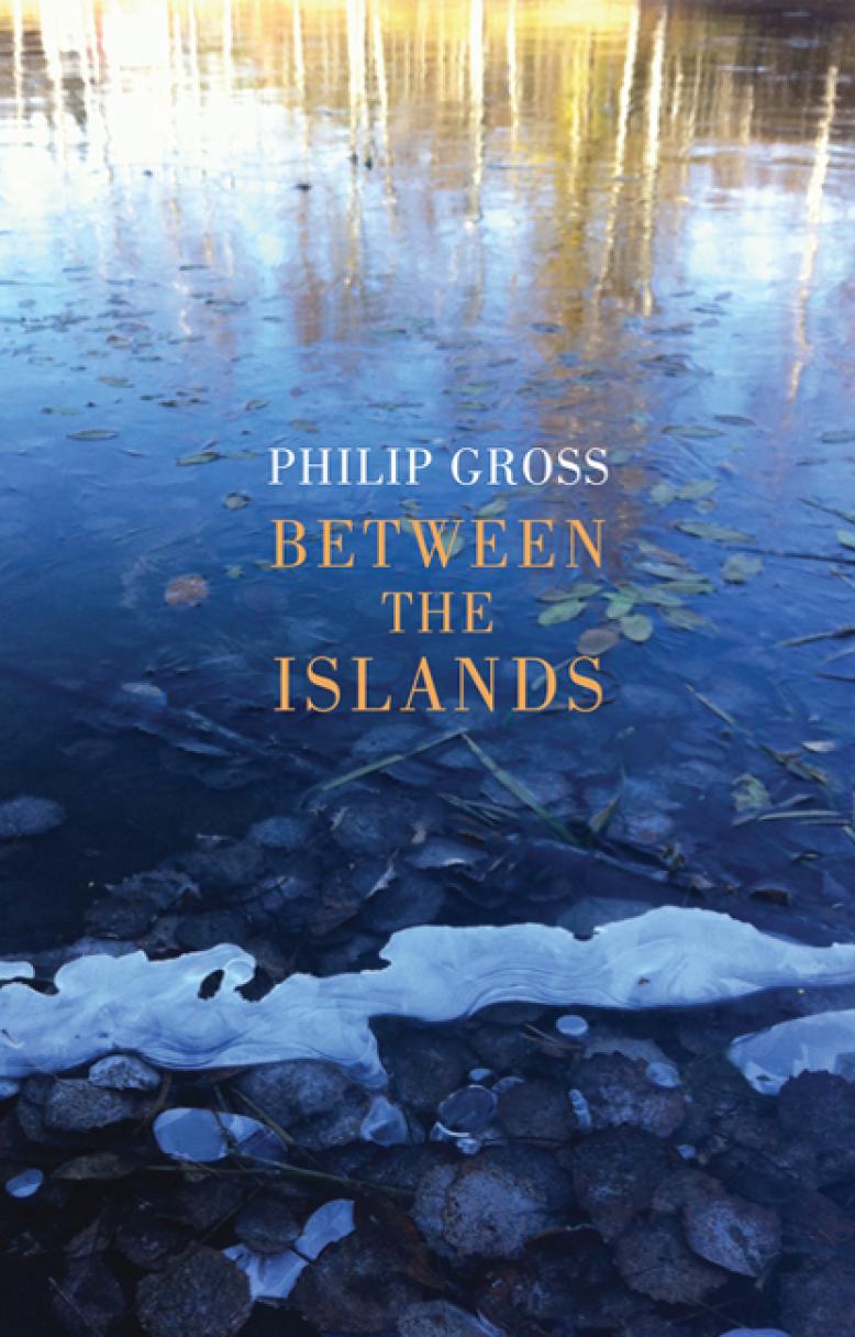 philip-gross-between-the-islands
