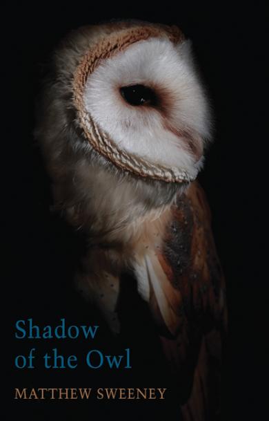 matthew-sweeney-shadow-of-the-owl