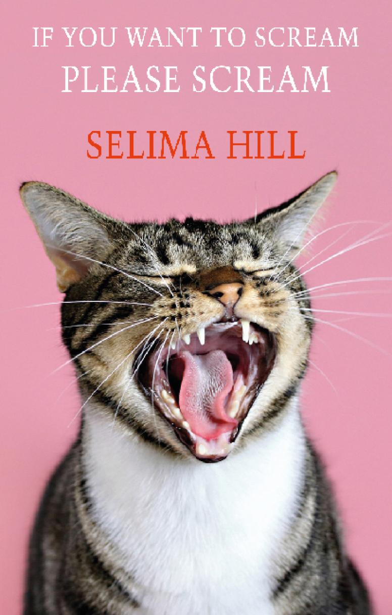 selima-hill-if-you-want-to-scream-please-scream