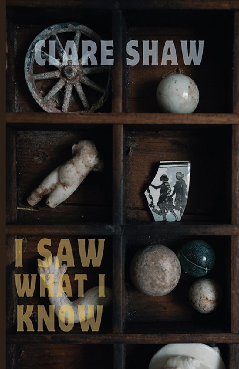 clare-shaw-i-saw-what-i-know
