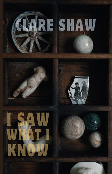 clare-shaw-i-saw-what-i-know