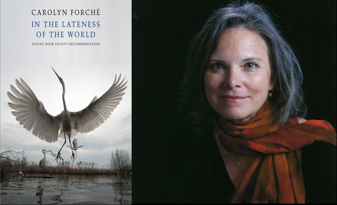 Carolyn Forché Reviews & Interviews for In the Lateness of the World
