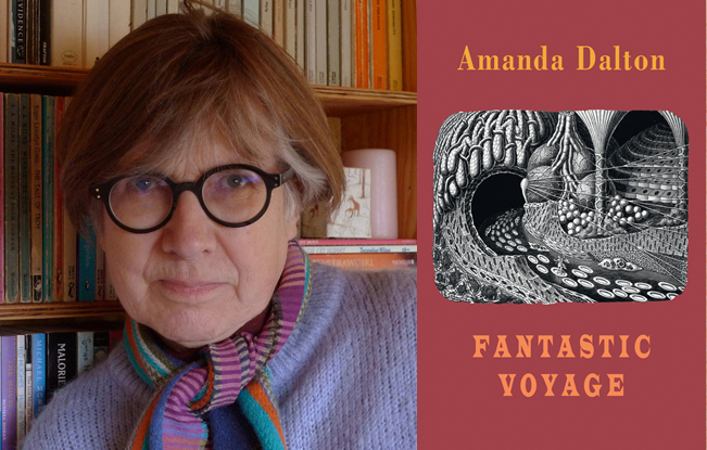 Amanda Dalton Readings & Workshops