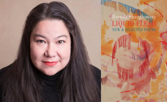 Brenda Shaughnessy's retrospective reviewed in Guardian & Irish Times